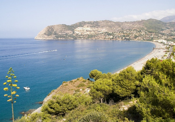 La Herradura