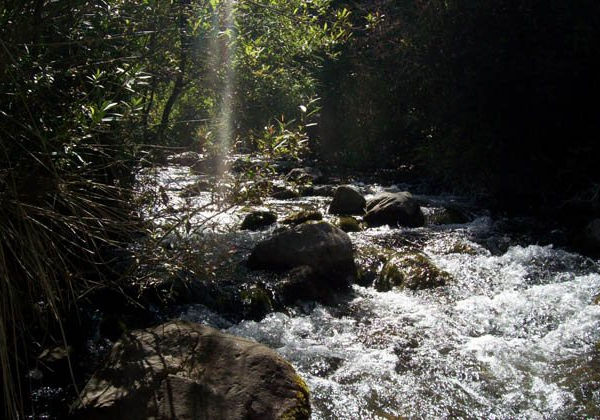 Naturpark